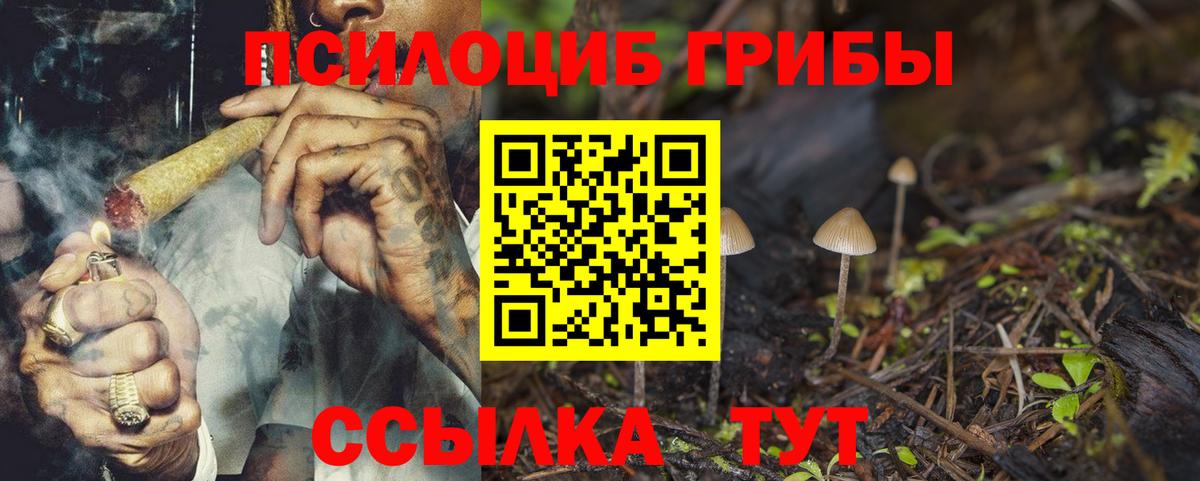 Балашов  Галлюциногенные грибы MAGIC MUSHROOMS  Вход с VPN 